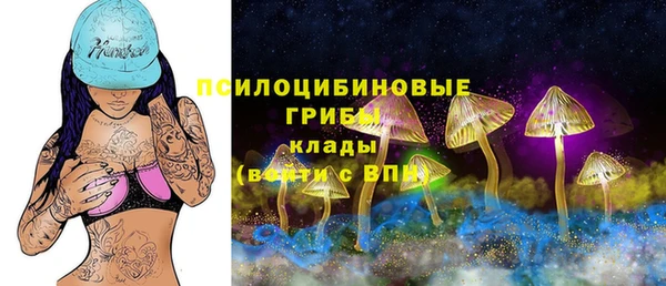 скорость Козловка